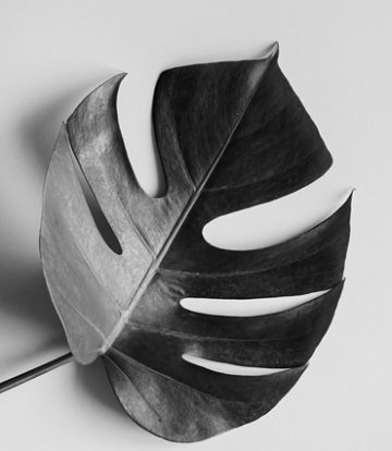 405ad97bf18f27c53c41801b4216f404.jpg 405ad97bf18f27c53c41801b4216f404 360x414x0x0x360x414x1761675791